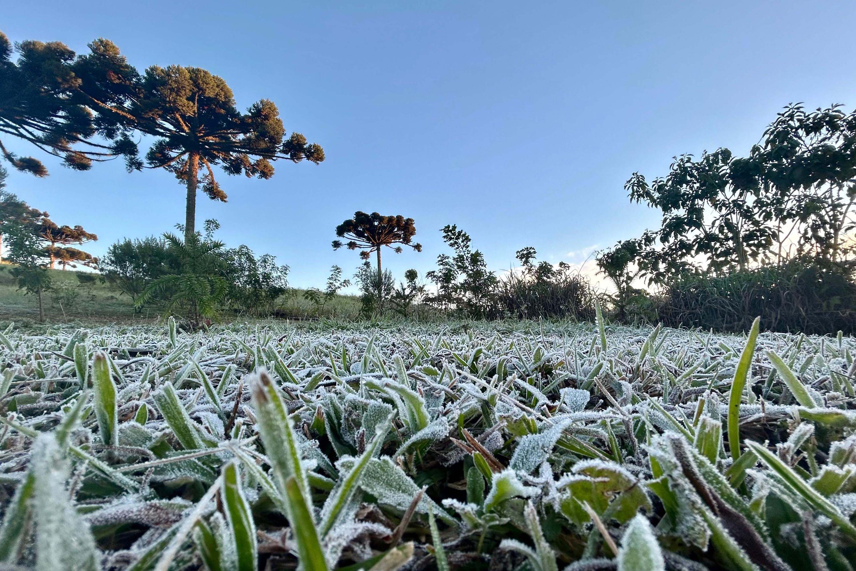 Imagem Primeira onda de frio chega ao Paraná semana que vem com termômetros perto de 0ºC