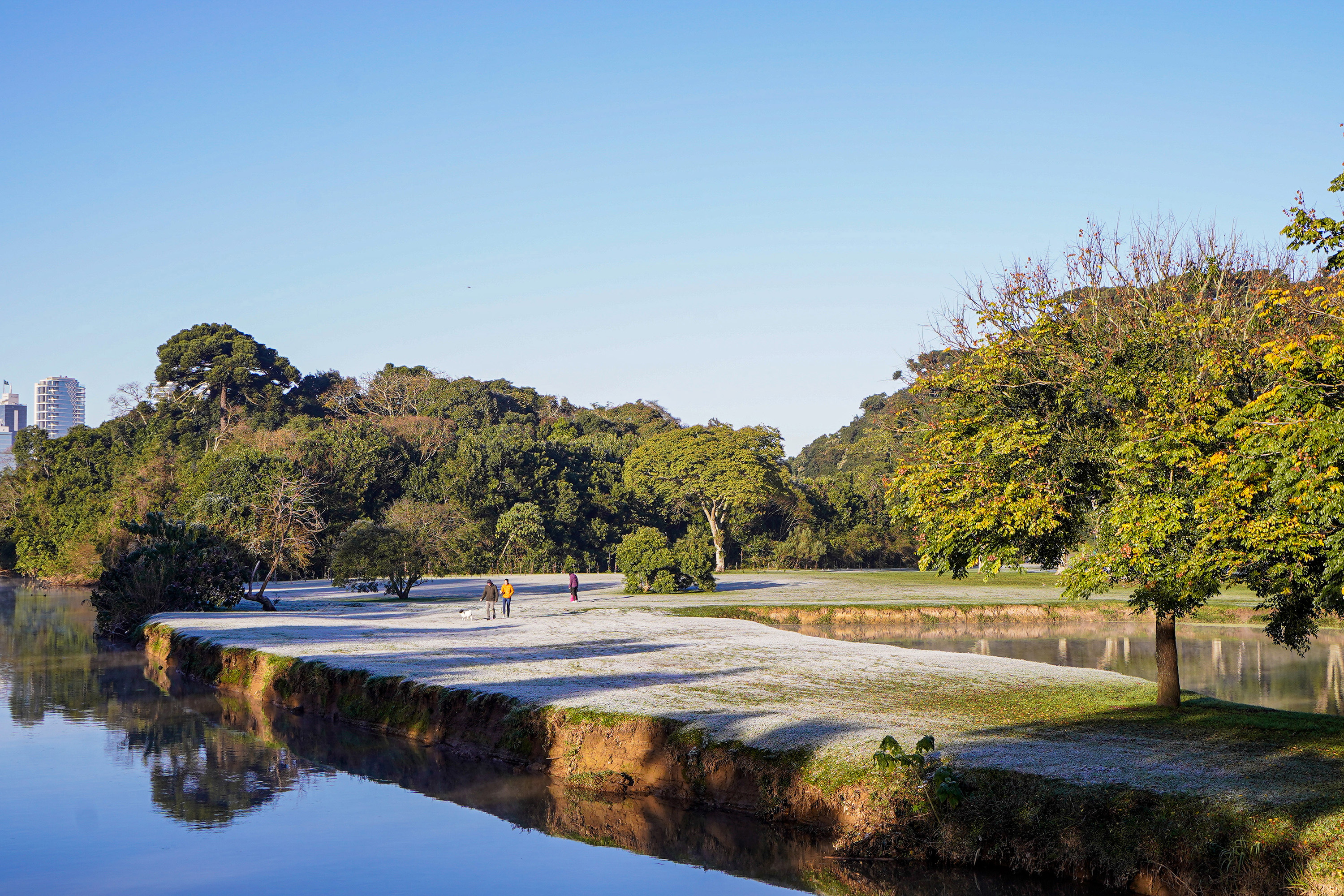 Imagem Com -7,8°C, quarta-feira teve menor temperatura do ano no Paraná e geada na Capital